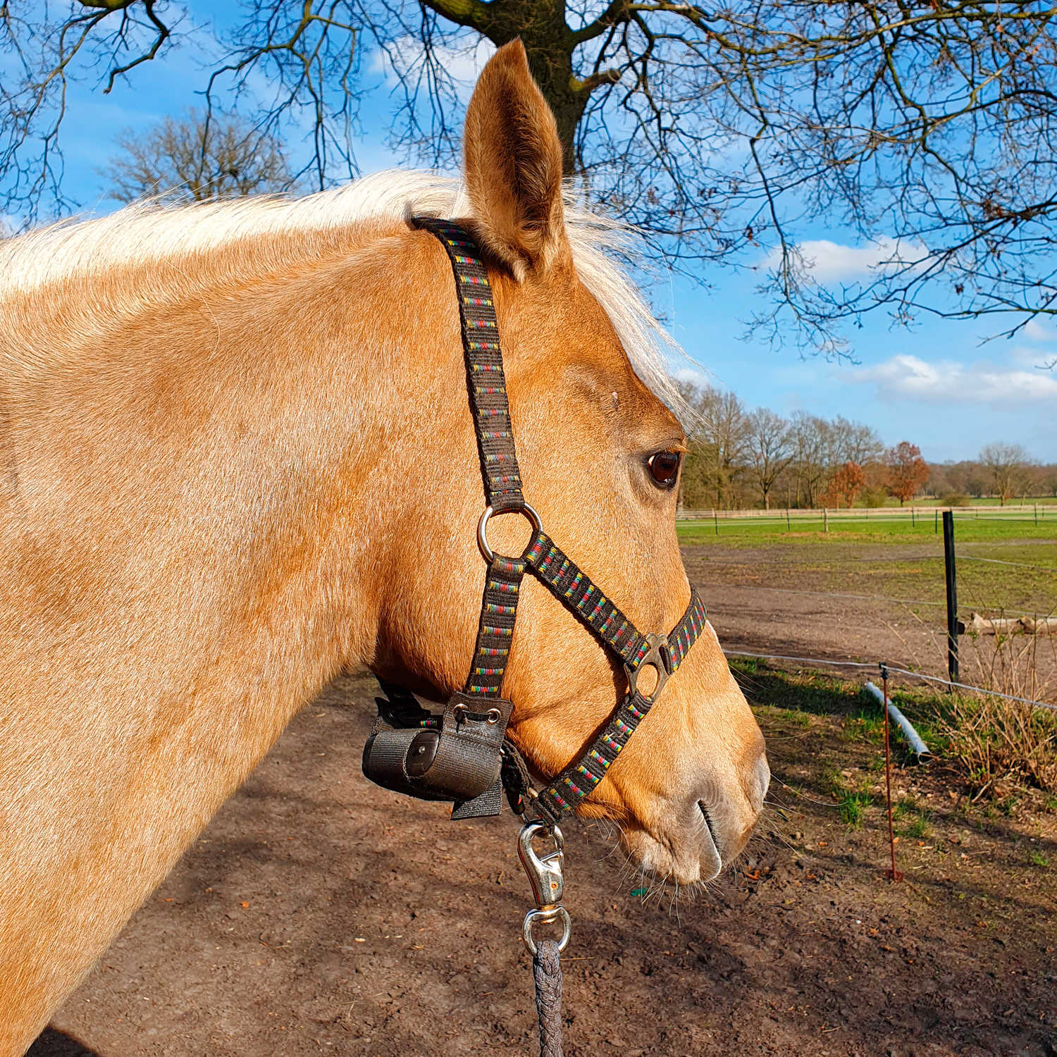 Birth Alarm Lite 2.0 – Image 2