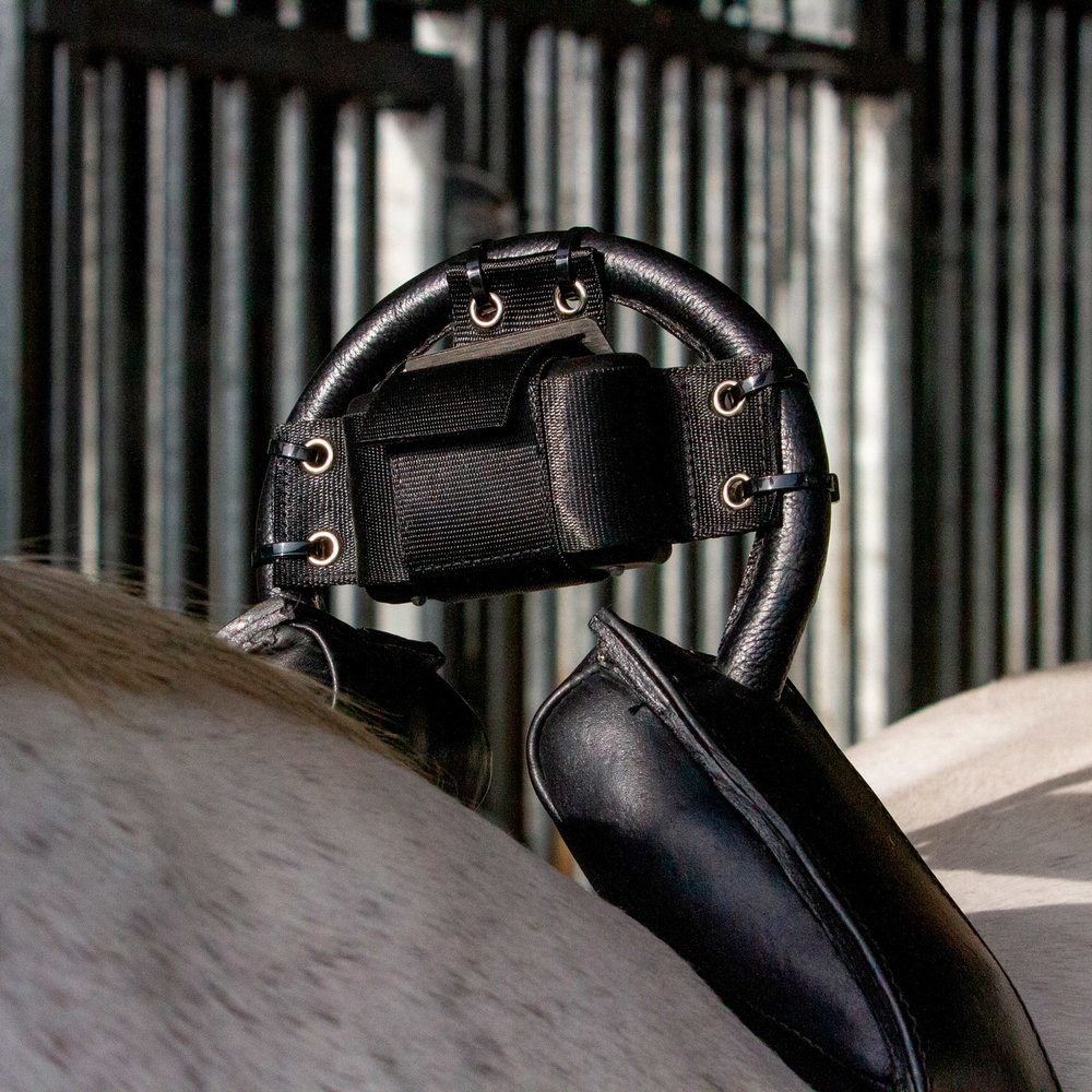 Birth Alarm Premium Plus – Image 2