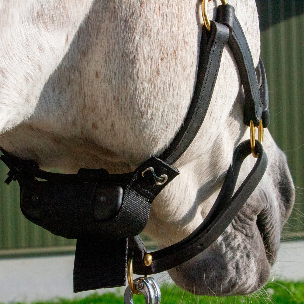 Birth Alarm Premium Plus – Image 3