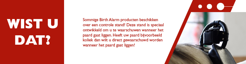 WIST U DAT?