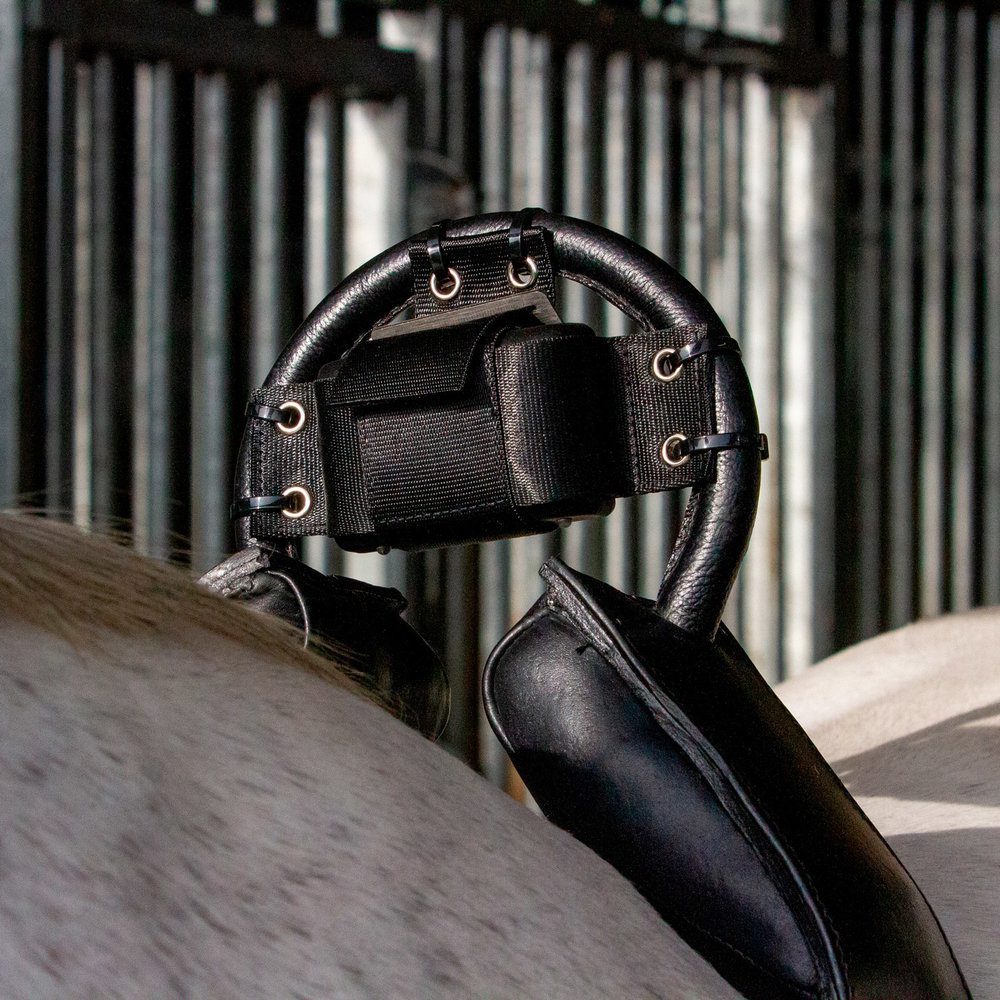 Birth Alarm Premium Plus - Image 2